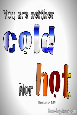 Revelation 3:15 You Are Not Hot Nor Cold (gray)